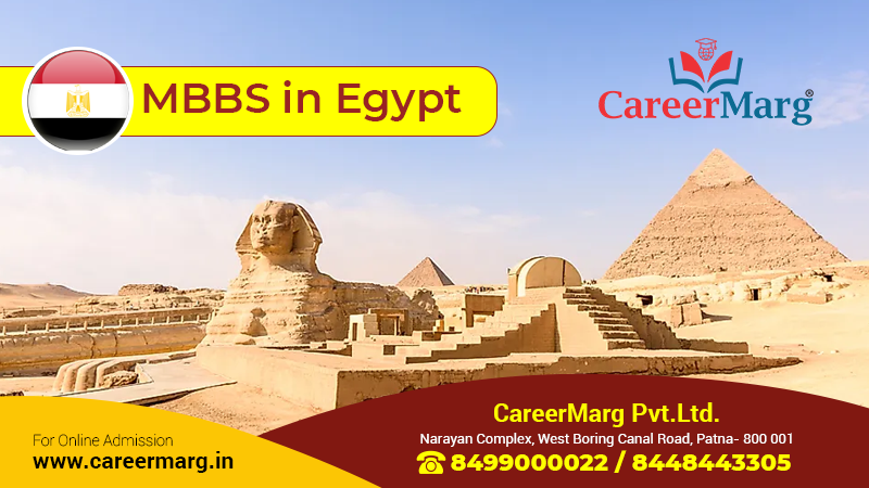1678162934-eligibility-criteria-of-mbbs-in-egypt-for-indian-students.png